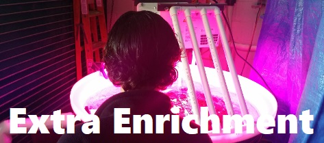 Extra Enrichment